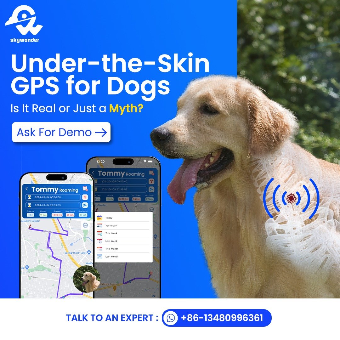 Under-the-Skin GPS for Dogs: Is It Real or Just a Myth?